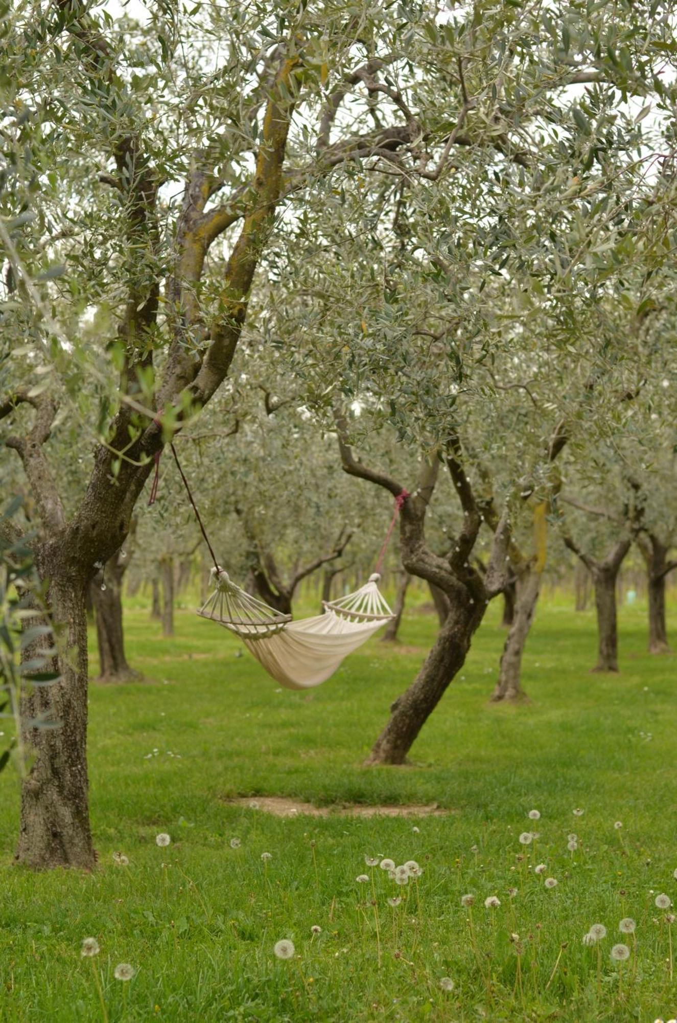 B&B La Cipressina Cavaion Veronese Exterior photo